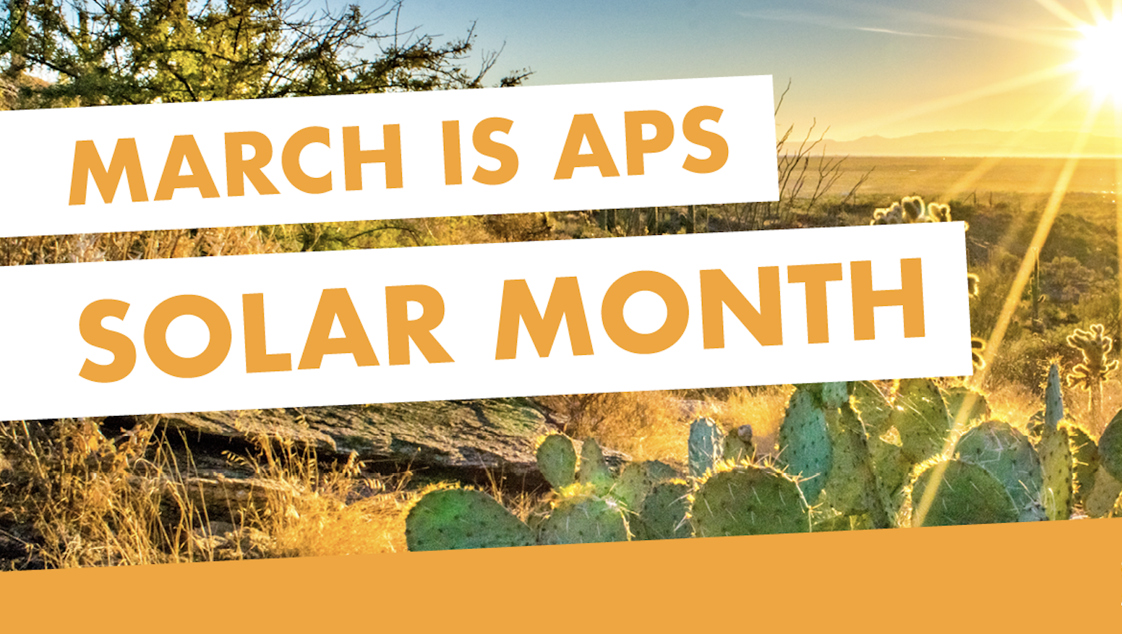 APS Solar Month